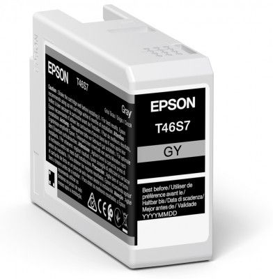 Original Epson T46S7 Grey Inkjet Cartridge C13T46S700