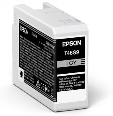 Original Epson T46S9 Light Grey Inkjet Cartridge C13T46S900