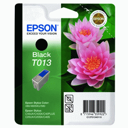 Epson Original T013 Black Ink Cartridge 
