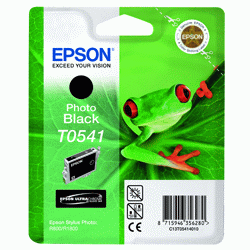 Original Epson T0541 Photo Black Cartridge