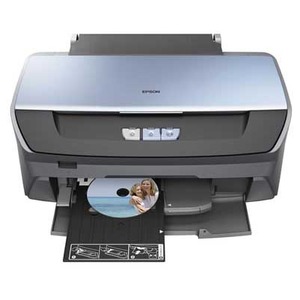 Epson Stylus Photo R265 