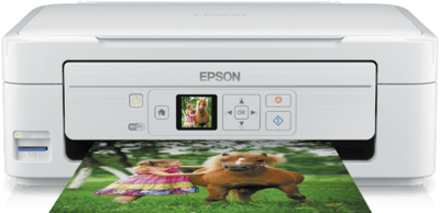 Epson Expression XP-325 